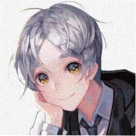 胶片收藏家头像